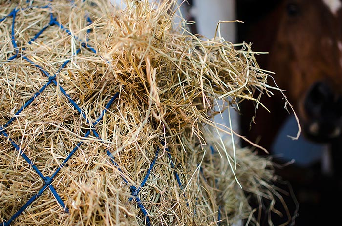 Quality hay and straw