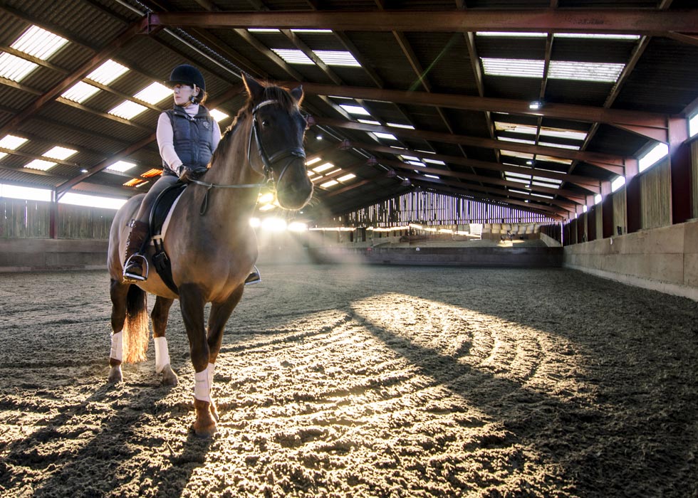 Exclusive indoor  riding arena.